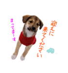 ごきげんモモさん（個別スタンプ：6）
