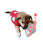 ごきげんモモさん（個別スタンプ：7）