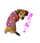 ごきげんモモさん（個別スタンプ：16）