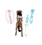 ごきげんモモさん（個別スタンプ：24）