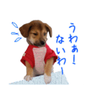 ごきげんモモさん（個別スタンプ：26）