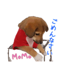 ごきげんモモさん（個別スタンプ：27）