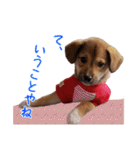 ごきげんモモさん（個別スタンプ：28）