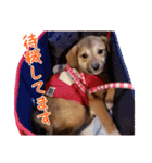 ごきげんモモさん（個別スタンプ：34）