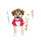 ごきげんモモさん（個別スタンプ：35）