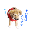 ごきげんモモさん（個別スタンプ：37）