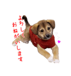 ごきげんモモさん（個別スタンプ：40）
