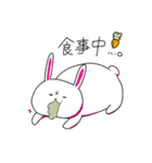 顔がうるさいウサギさん（個別スタンプ：22）