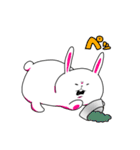 顔がうるさいウサギさん（個別スタンプ：23）