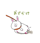顔がうるさいウサギさん（個別スタンプ：33）