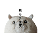 まんぷくちゃんと暮らす。（個別スタンプ：4）