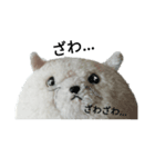 まんぷくちゃんと暮らす。（個別スタンプ：5）