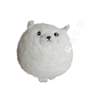まんぷくちゃんと暮らす。（個別スタンプ：15）