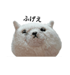 まんぷくちゃんと暮らす。（個別スタンプ：17）