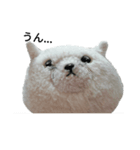 まんぷくちゃんと暮らす。（個別スタンプ：19）