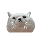 まんぷくちゃんと暮らす。（個別スタンプ：21）