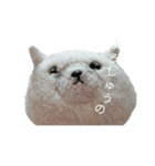 まんぷくちゃんと暮らす。（個別スタンプ：22）