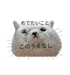 まんぷくちゃんと暮らす。（個別スタンプ：25）