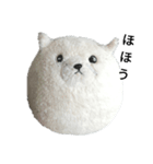 まんぷくちゃんと暮らす。（個別スタンプ：31）