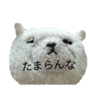 まんぷくちゃんと暮らす。（個別スタンプ：36）
