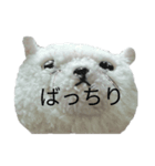 まんぷくちゃんと暮らす。（個別スタンプ：39）