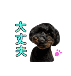 モモタローの会話（個別スタンプ：8）