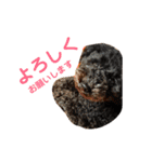 モモタローの会話（個別スタンプ：18）
