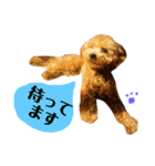 モモタローの会話（個別スタンプ：23）