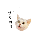 仔猫のキキその2（個別スタンプ：16）