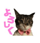 涼香の日記vol.1（個別スタンプ：3）