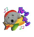 僕は、トイ プードル。アルルです。（個別スタンプ：1）