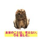 マイルドな人生7（個別スタンプ：2）