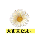 マイルドな人生7（個別スタンプ：8）