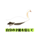 マイルドな人生7（個別スタンプ：9）