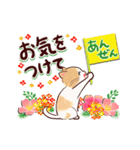 大人かわいい♡花ねこにゃん【丁寧・敬語】（個別スタンプ：13）