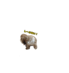 シーズー犬チョコ（個別スタンプ：29）