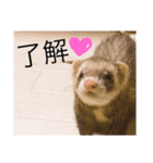 やまぱぴあしゅふーもか（個別スタンプ：6）