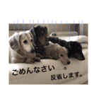 やまぱぴあしゅふーもか（個別スタンプ：7）