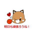 バスケットボールパンダこぱん4（個別スタンプ：11）