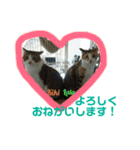キキとララのスタンプ（個別スタンプ：1）