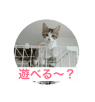 キキとララのスタンプ（個別スタンプ：7）