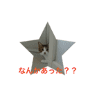 キキとララのスタンプ（個別スタンプ：9）