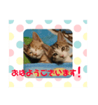 キキとララのスタンプ（個別スタンプ：12）