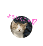 キキとララのスタンプ（個別スタンプ：16）