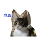 れお・モカ猫スタンプ1（個別スタンプ：1）