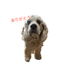 杏だよ～（個別スタンプ：13）