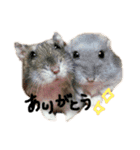 愛する家族たち（個別スタンプ：3）