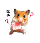 愛する家族たち（個別スタンプ：13）