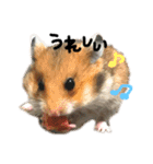 愛する家族たち（個別スタンプ：16）