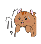 りすお【会話編】（個別スタンプ：3）